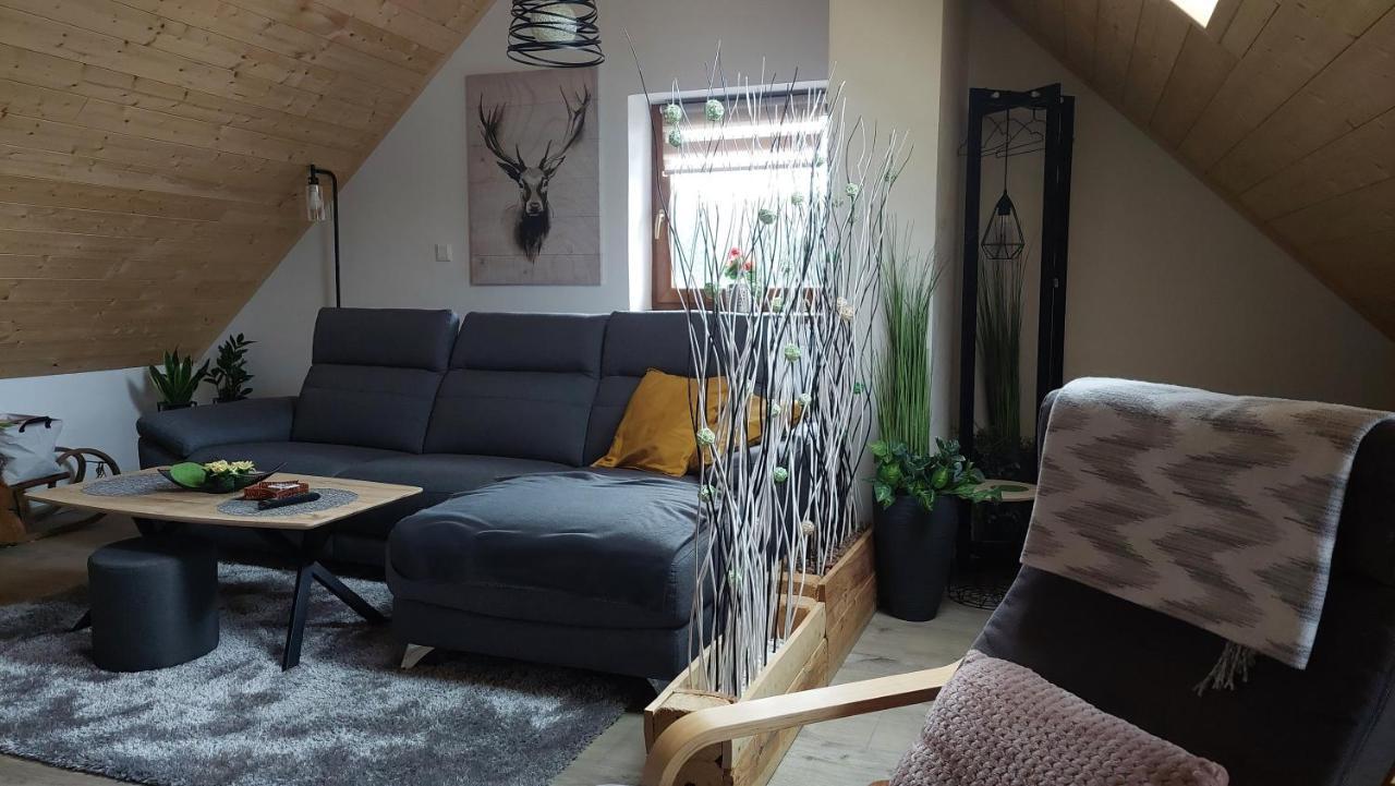 Apartman Pod Smrcinou Vaclavov u Bruntalu Екстериор снимка